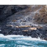 Captura de pantalla 2025-05-20 135708